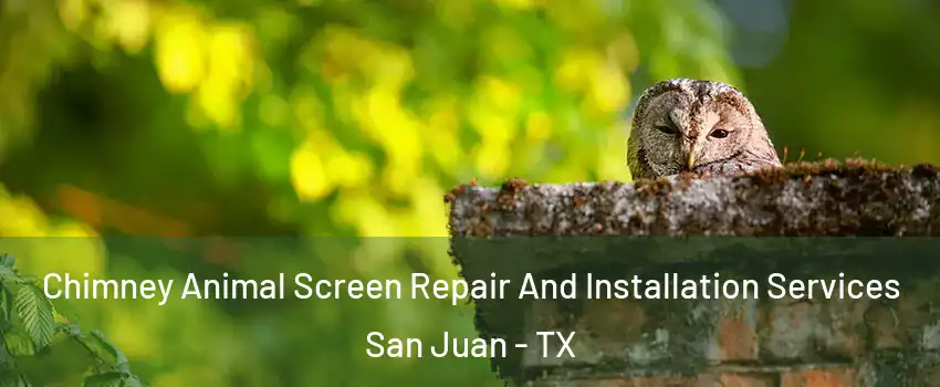  Chimney Animal Screen Repair And Installation Services San Juan - TX