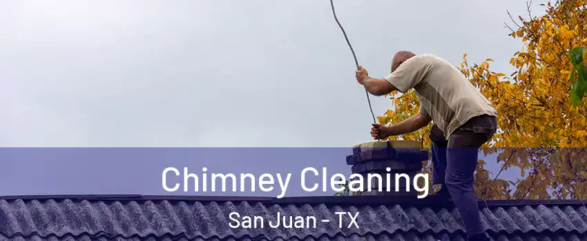  Chimney Cleaning San Juan - TX