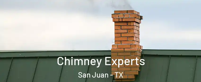 Chimney Experts San Juan - TX