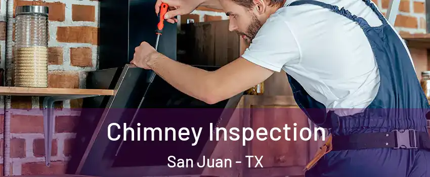  Chimney Inspection San Juan - TX