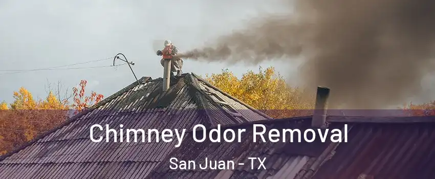  Chimney Odor Removal San Juan - TX