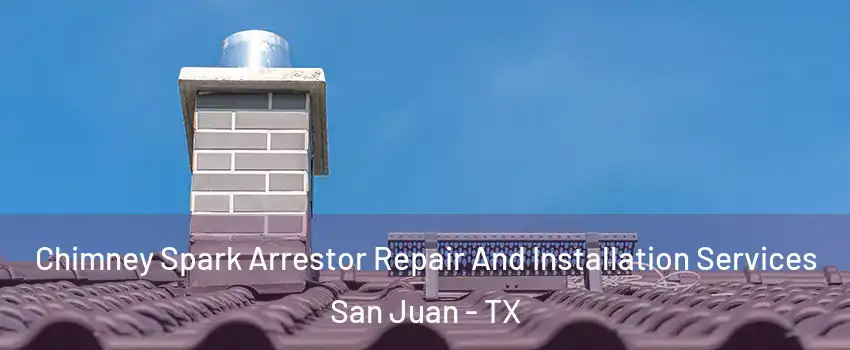  Chimney Spark Arrestor Repair And Installation Services San Juan - TX