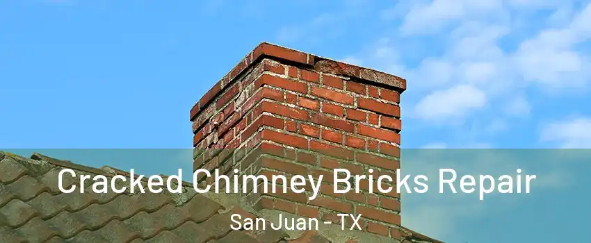 Cracked Chimney Bricks Repair San Juan - TX