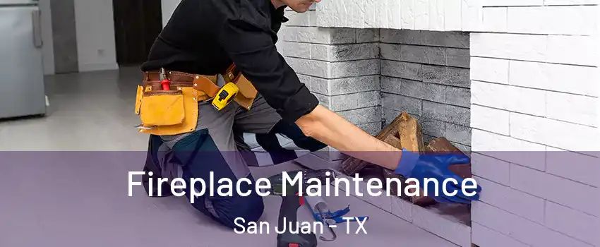  Fireplace Maintenance San Juan - TX