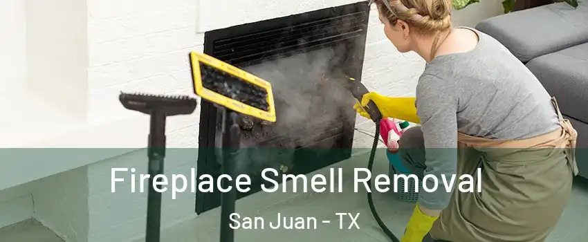  Fireplace Smell Removal San Juan - TX