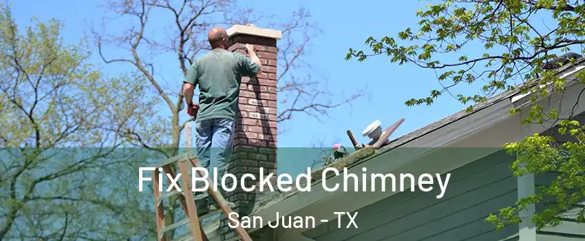  Fix Blocked Chimney San Juan - TX