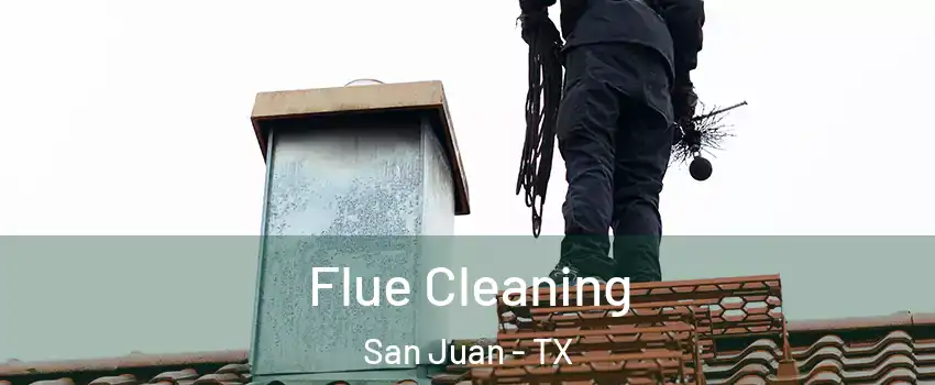  Flue Cleaning San Juan - TX