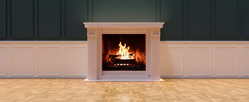 Napoleon Electric Fireplaces Inspection Service in San Juan, Texas