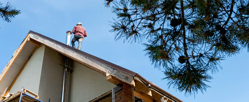 Birds Removal Contractors from Chimney in San Juan, TX