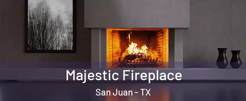  Majestic Fireplace San Juan - TX