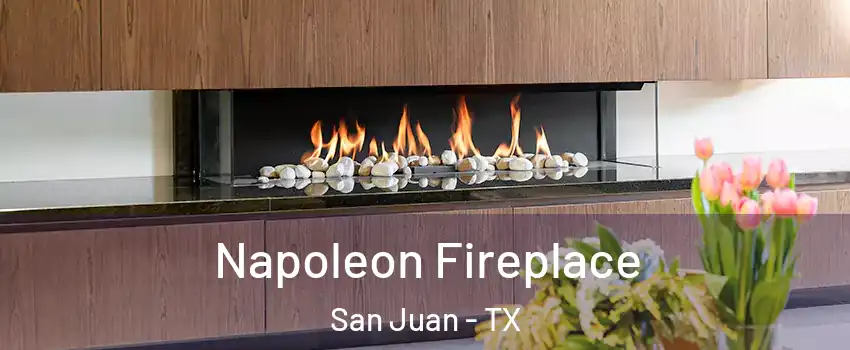  Napoleon Fireplace San Juan - TX